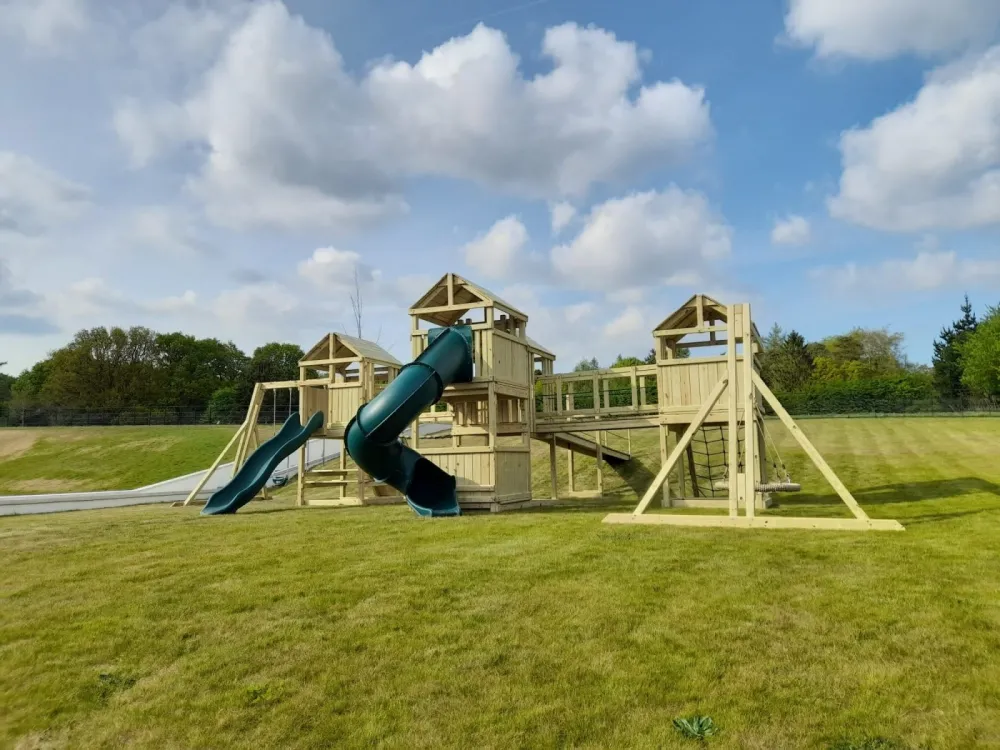 Going big: How the Cosmic Adventurer transformed one family’s garden image