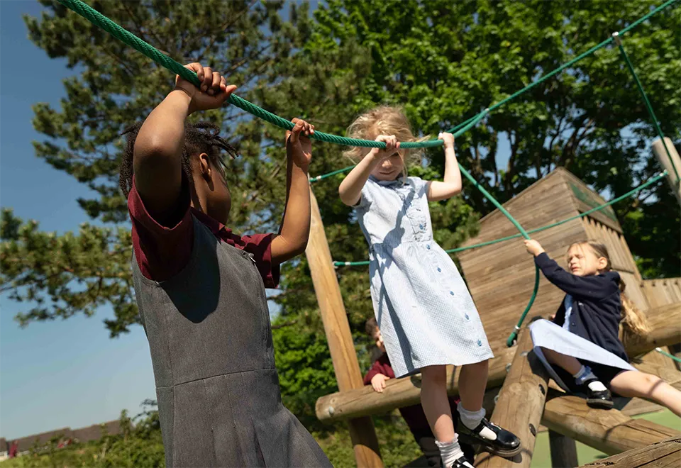 Primary School image